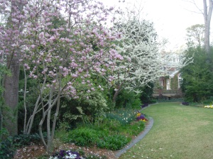 Spring Trees in the gardens at 52 Blackland Road